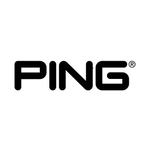 PING logo 2 small