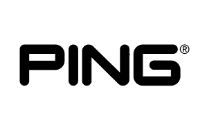 PING logo 2 small